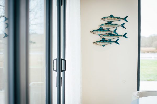 Shoal of Mackerel