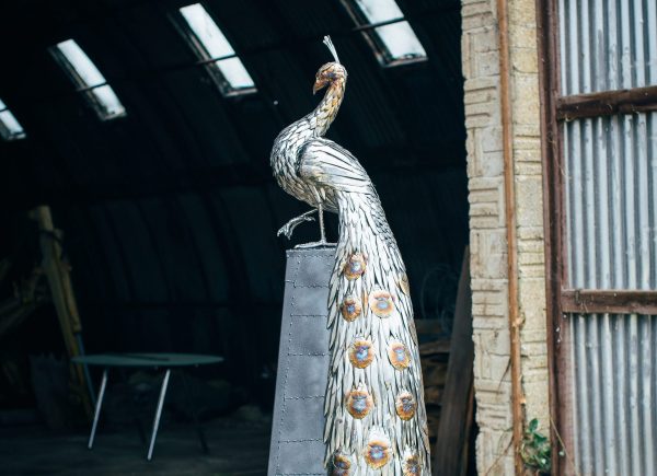 Peacock Garden Sculpture