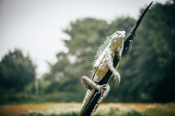 stainless steel iguana sculpture