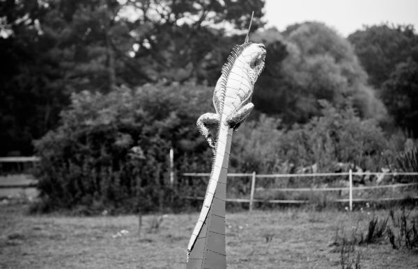 Iguana garden sculpture