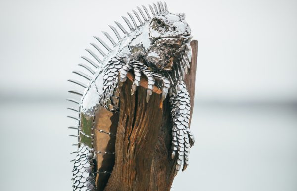 Iguana sculpture on wood