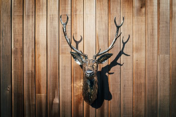 Stags Head