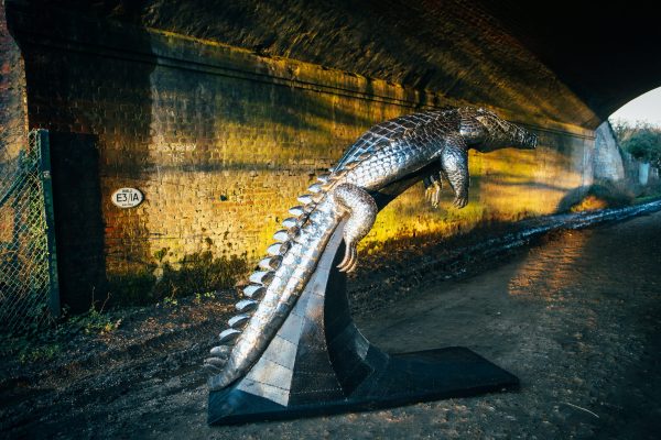 Basking Crocodile
