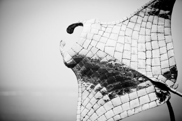 Manta Ray Garden Sculpture