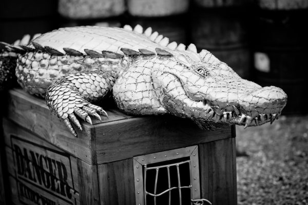Crocodile on a crate garden sculpture