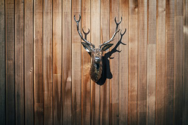 Stags Head