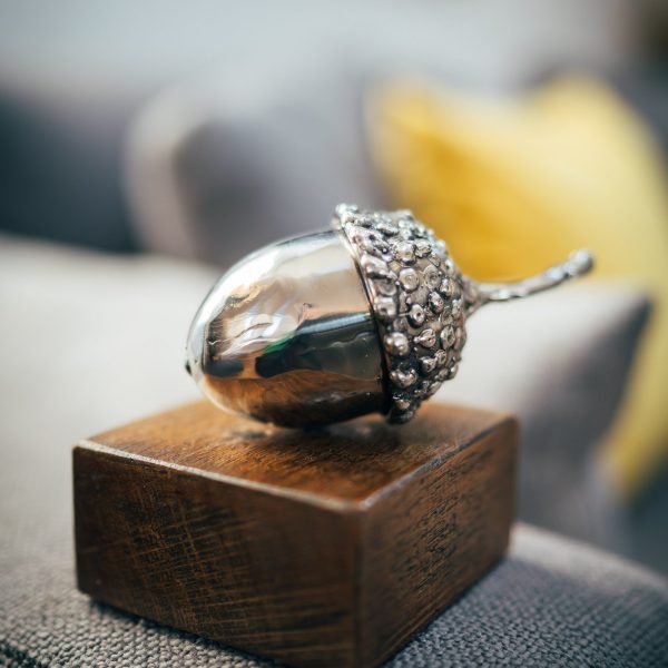 Small Acorn on Wood