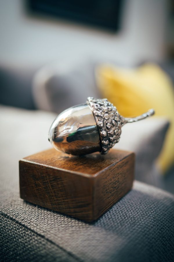 Small Acorn on Wood