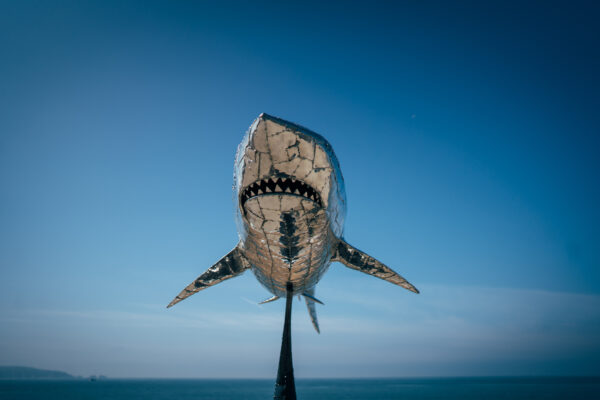 Shark Sculpture