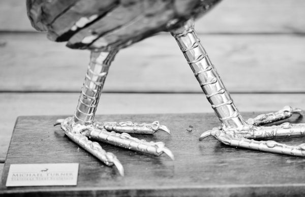 Cockerel