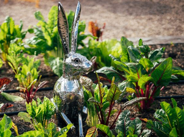 Hare garden sculpture