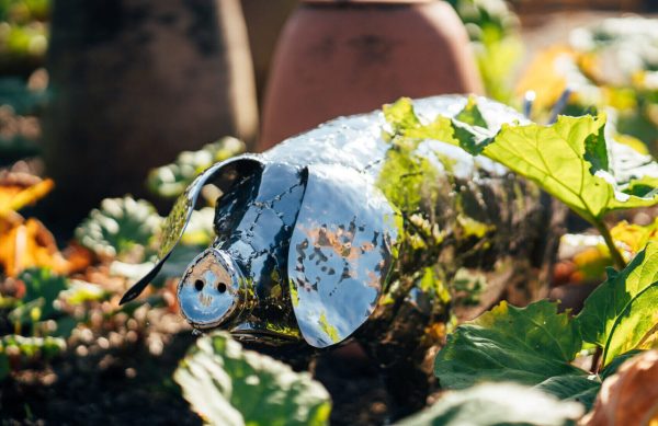 Stainless Steel Pig garden sculpture, perfect for hte vegetable patch.