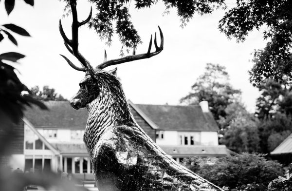 Sculpture of Stag