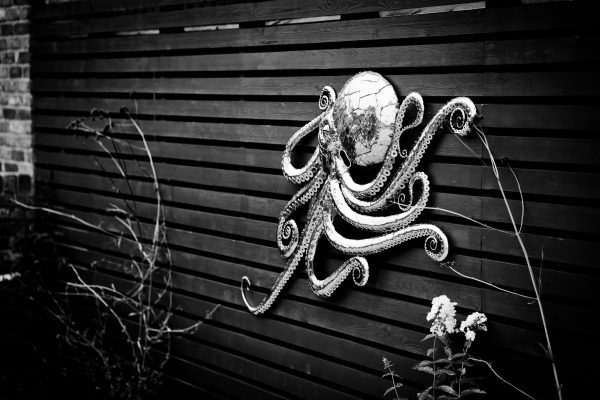 Octopus wall artwork