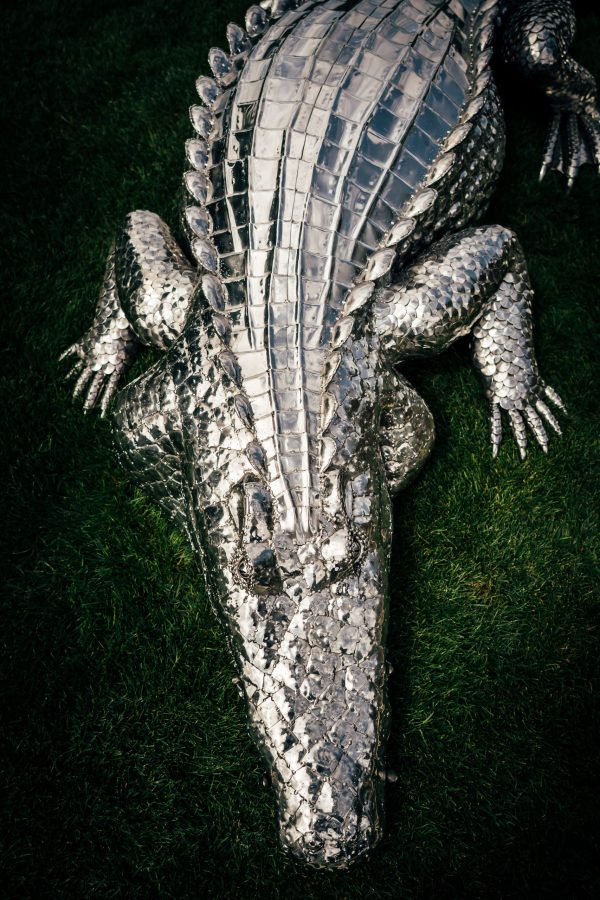 Top of crocodile sculpture