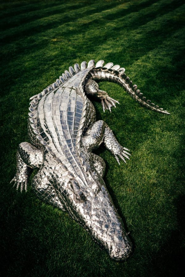 Crocodile sculpture on the lawn