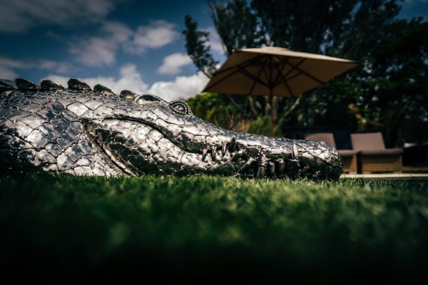 Sculpture of Crocodile head