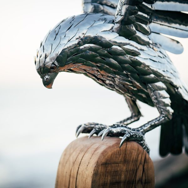 Falcon sculpture