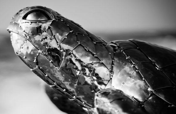 Turtle Head metal sculpture