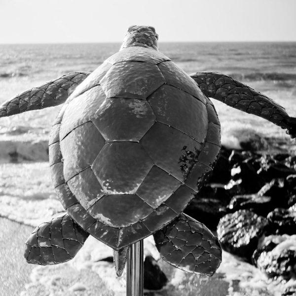 Green Turtle sculpture