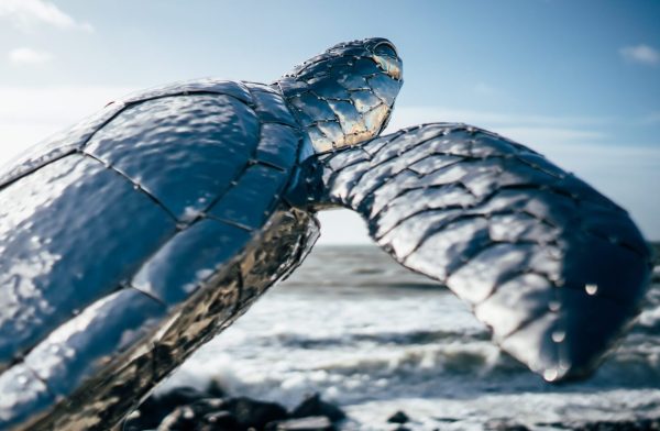 Turtle Sculpture