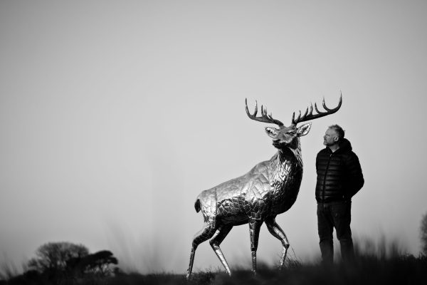 Stag Garden sculpture