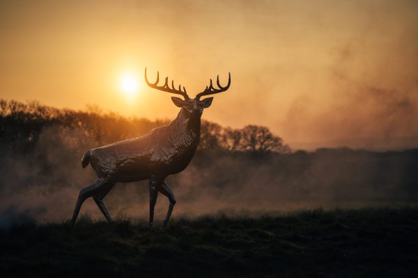 Stag Garden Sculpture