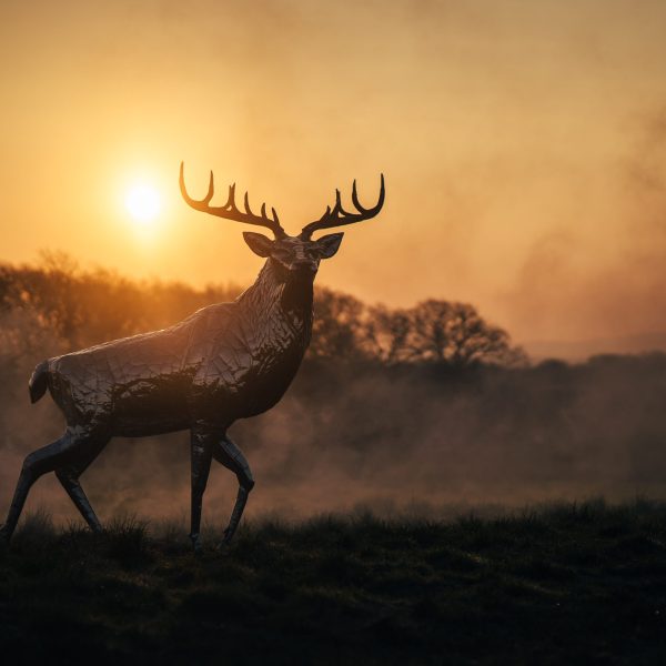 Stag Garden Sculpture