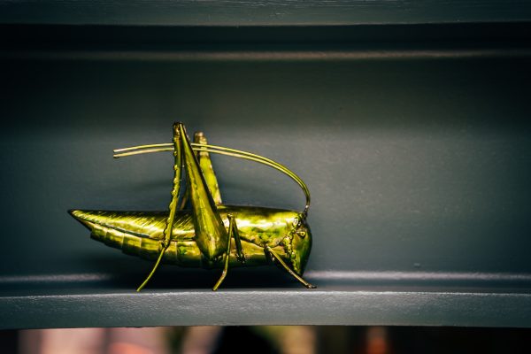 Textured metal grasshopper sculpture in a vibrant green finish.