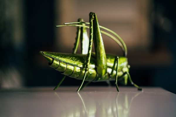 A bright green grasshopper leaps from metal in this garden sculpture.