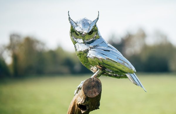 Long eared Owl Sculpture