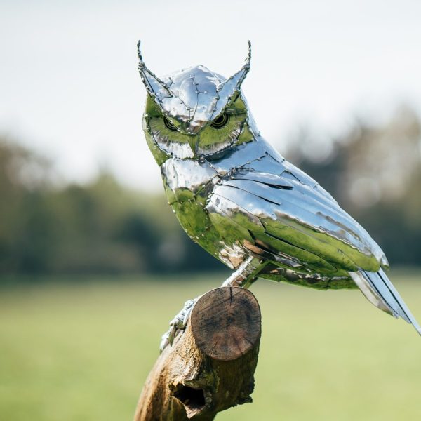 Long eared Owl Sculpture
