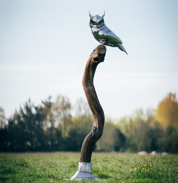 A watchful long-eared owl, sculpted from stainless steel, surveys its surroundings from a wooden perch.