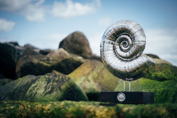 Stainless steel ammonite fossil sculpture.