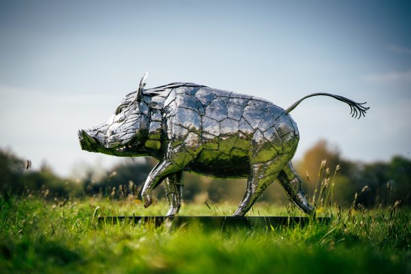 A fierce wild boar, gleaming in polished stainless steel, stands guard in your garden.