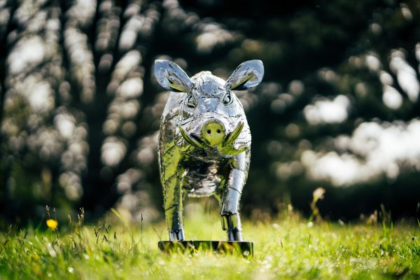 Stainless steel wild boar sculpture adds a touch of wilderness to your garden.