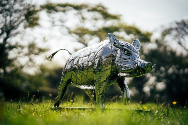 Modern garden ornament: a powerful wild boar sculpted from stainless steel.