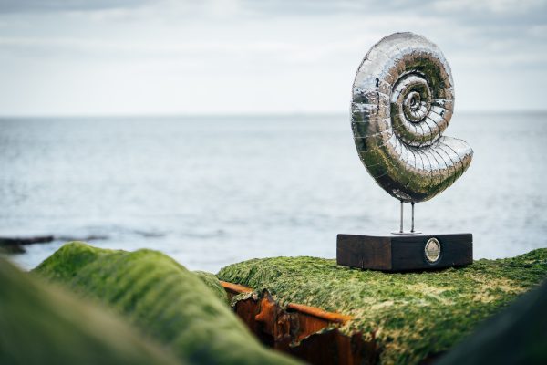 Ammonite sculpture in stianless steel