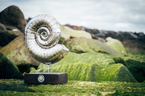 Modern ammonite statue made from polished stainless steel.