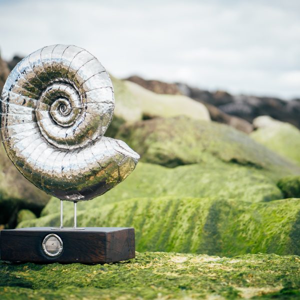 Modern ammonite statue made from polished stainless steel.