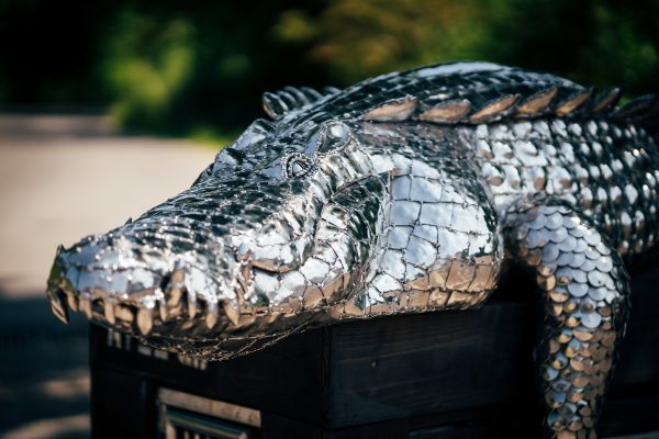 Sleek, polished stainless steel sculpture of a crocodile.