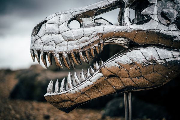 Stainless Steel T-Rex skull sculpture