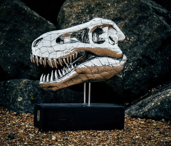 T-Rex Skull in Stainless Steel