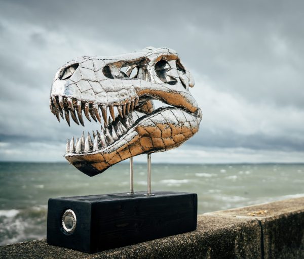 T-Rex Skull Sculpture