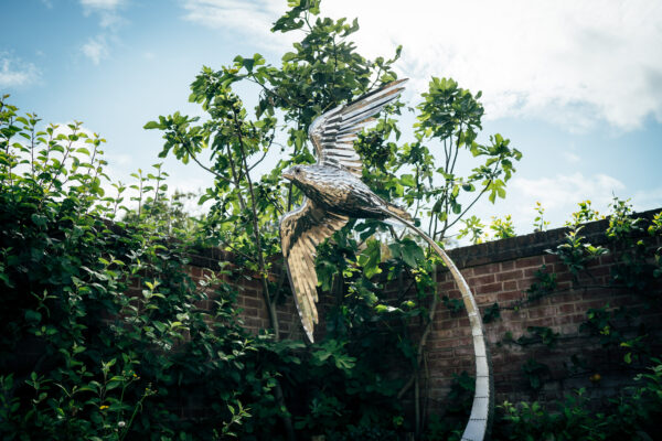 Peregrine Falcon in flight sculpture