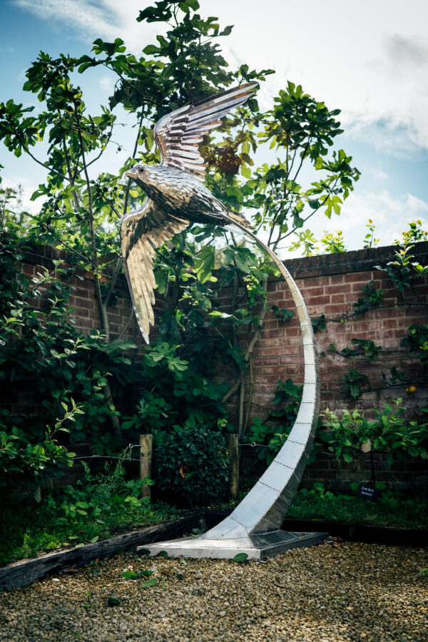Peregrine Falcon sculpture