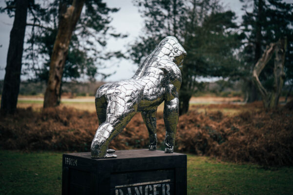 Beautiufl back of gorilla sculpture in metal, postioned ontop of a wooden cage