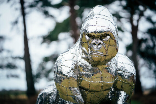 Face of a incredible gorilla eniterly hadn made sculpture of stianless steel. perfect for the home and garden