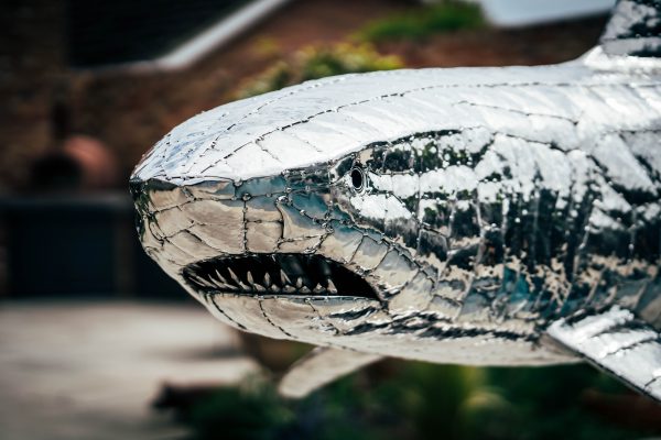 Great White Shark Garden Sculpture