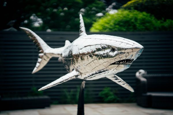 Great White Shark scultprue in stianless steel. Unique garden or pooolside scultprue for your home